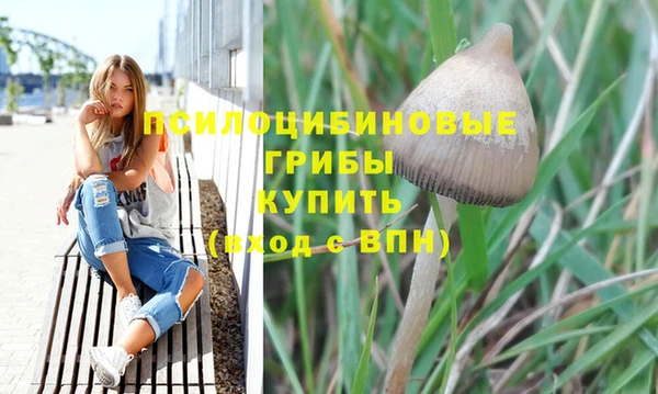 соль ск Абинск