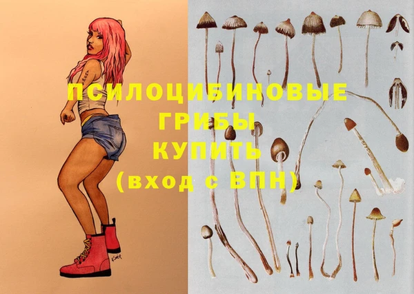 мет Мегион