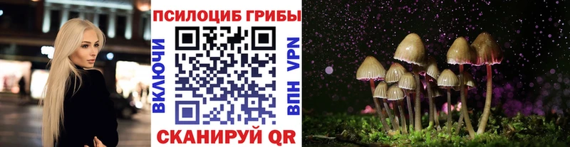 KRAKEN как зайти  Нахабино  Галлюциногенные грибы мухоморы 